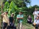 Pimpinan Uhamka Lanjutkan Progres Penanaman Pokcoy seluas 10 Hektar