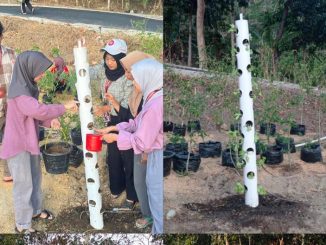 Mahasiswa Universitas Muhammadiyah Cirebon Ciptakan Inovasi Penanaman Modern Vertikal Garden