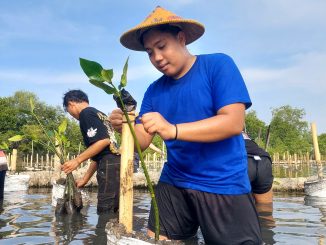 Penanaman Bibit Mangrove oleh Perhimpunan Mahasiswa Mesin Muhammadiyah se-Indonesia