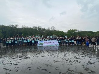 UMM Gelar Aksi Penanaman 1000 Mangrove, Gerak Nyata Generasi Muda Jaga Lingkungan