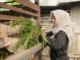 Perempuan Tangguh Alumni Unmuh Jember Kembangkan Usaha Peternakan Domba