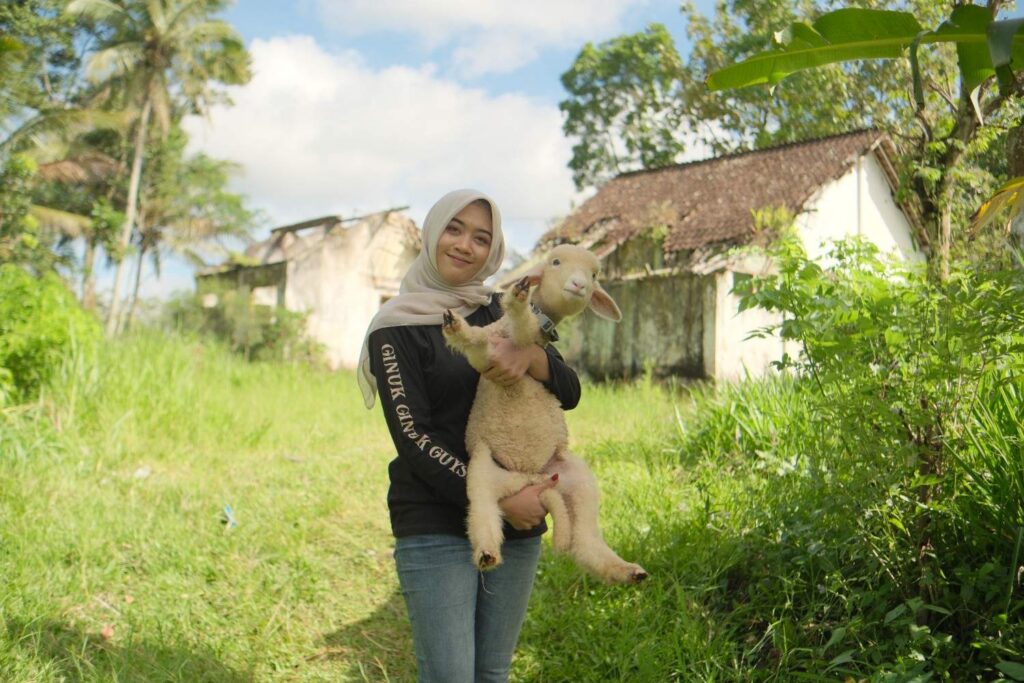 Perempuan Tangguh Alumni Unmuh Jember Kembangkan Usaha Peternakan Domba