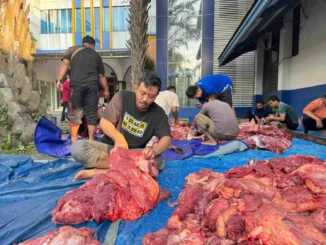 Umsida Laksanakan Kurban Iduladha 1447 H, Distribusikan hingga SLB dan Wilayah Pelosok