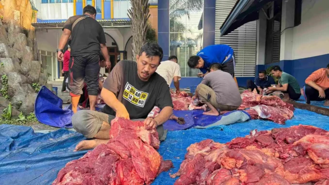 Umsida Laksanakan Kurban Iduladha 1447 H, Distribusikan hingga SLB dan Wilayah Pelosok