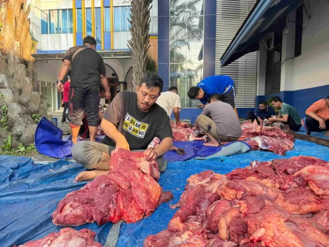 Umsida Laksanakan Kurban Iduladha 1447 H, Distribusikan hingga SLB dan Wilayah Pelosok