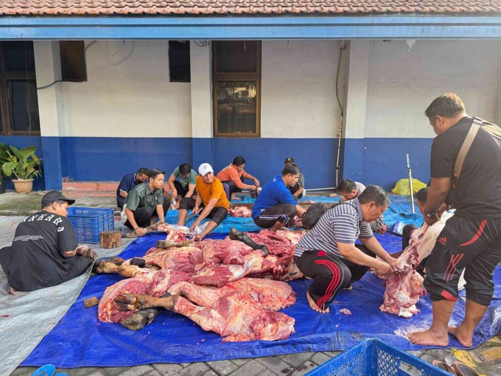 Pemotongan Hewan Kurban di Umsida