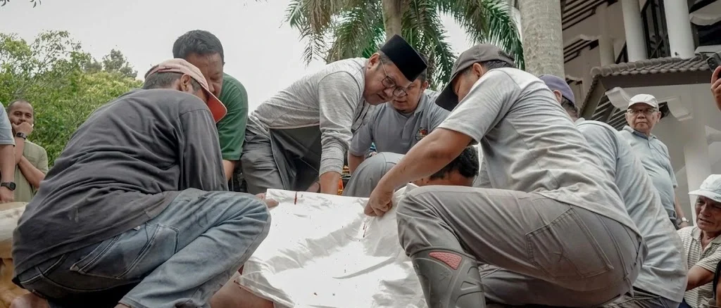 Ribuan Warga Rasakan Manfaat, PTMA Salurkan Ratusan Hewan Kurban hingga Pelosok Indonesia
