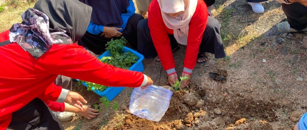 penyebaran bibit tanaman