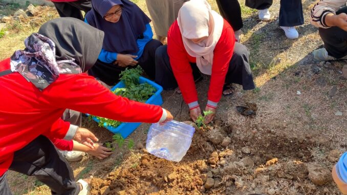 penyebaran bibit tanaman