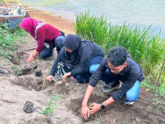 IMM UNISA Yogyakarta Tanam Vetiver, Perkuat Mitigasi Erosi Sungai Progo