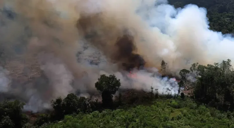 Karhutla Terus Berulang, Pakar UMM Dorong Pemerintah Perkuat Sistem Pencegahan