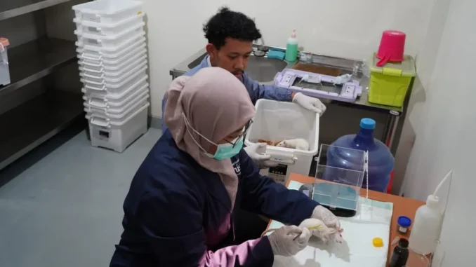 Unisa Yogyakarta Perkuat Ekosistem Riset melalui Laboratorium Animal House