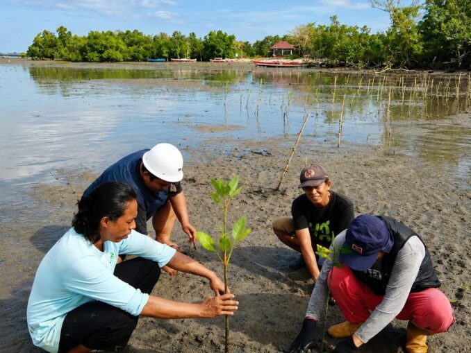 PWK UM Palopo Tanam Mangrove di Pantai, Dukung Konservasi Pesisir dan Blue Carbon