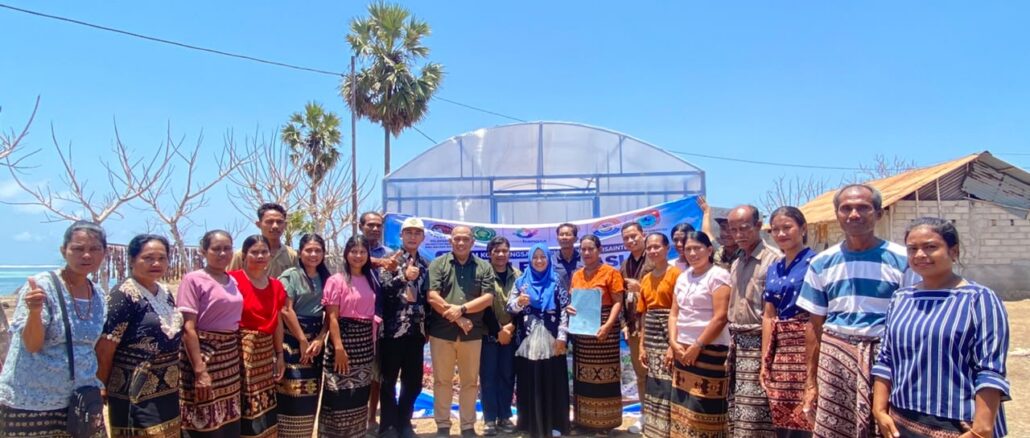 UMPWR dan Unkriswina Sumba Terapkan Pengering Rumput Laut Berbasis Energi Surya