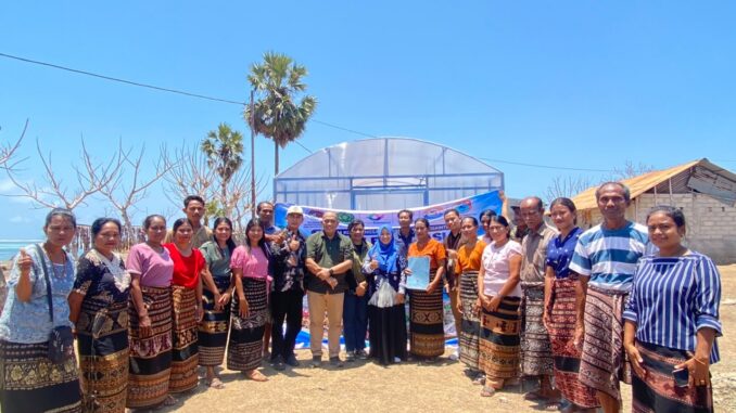 UMPWR dan Unkriswina Sumba Terapkan Pengering Rumput Laut Berbasis Energi Surya